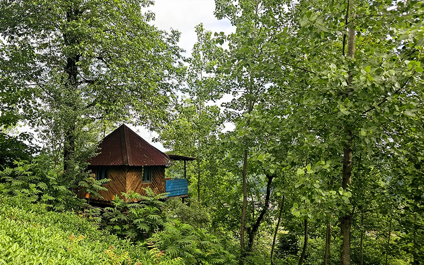 pedar cottage-v2 (2)